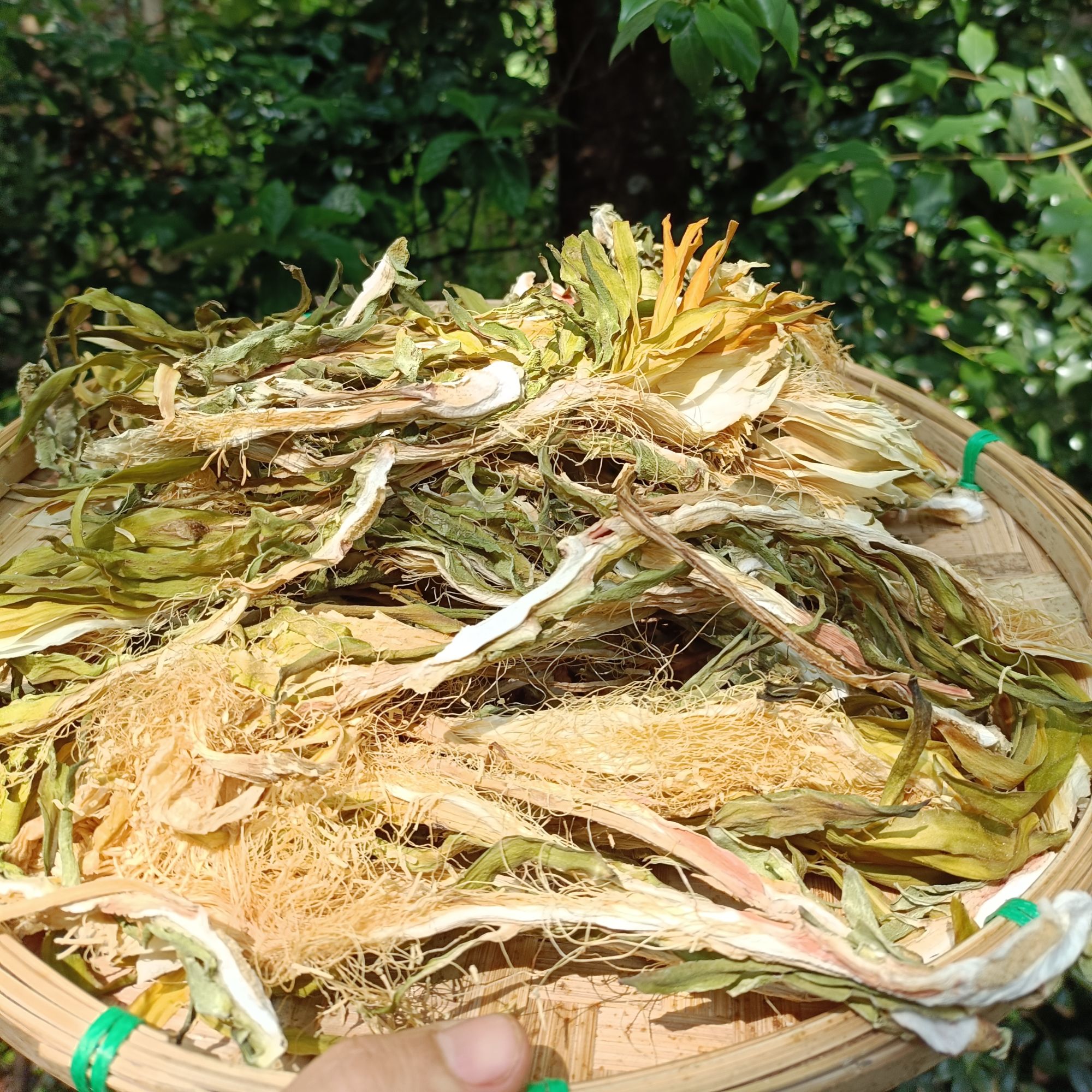 A【雪-莲-花】净含量250g-500g【金金现收】