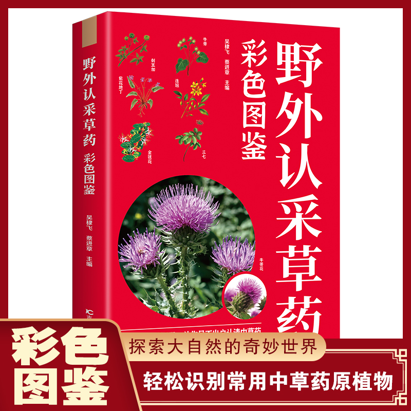 野外认采草药彩色图鉴图解简单实用快速认药中医入门草药大全书籍