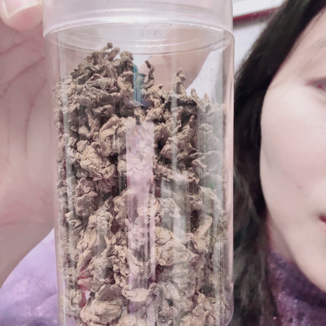 名贵菌菇牛樟芝灵芝白白丸1袋