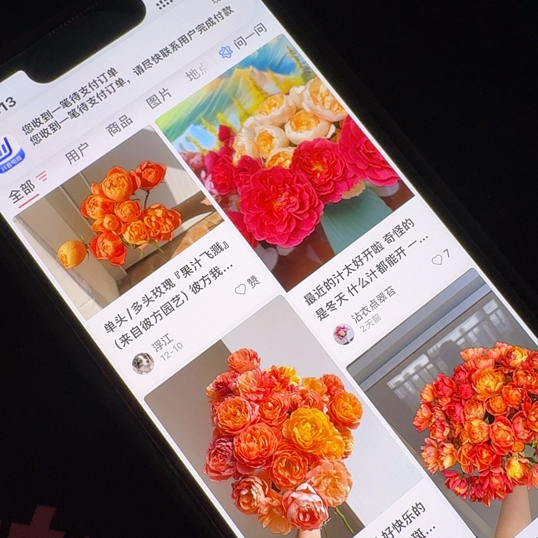 完全开放短果汁飞溅15支！任选三件顺丰空运包邮