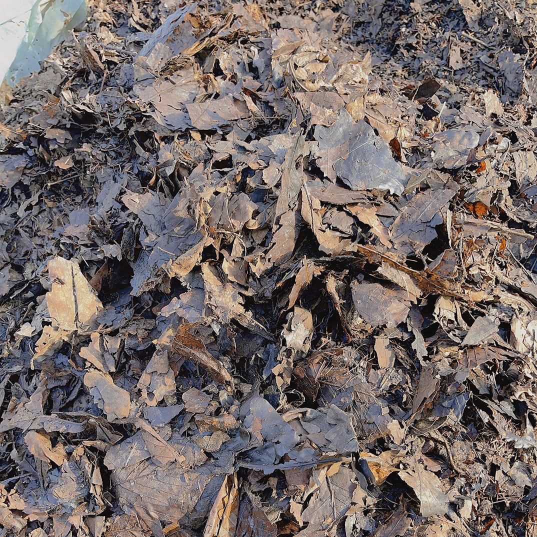 君子兰腐叶土5合1凤凰山橡树叶养花短松针木炭河石火山岩营养土