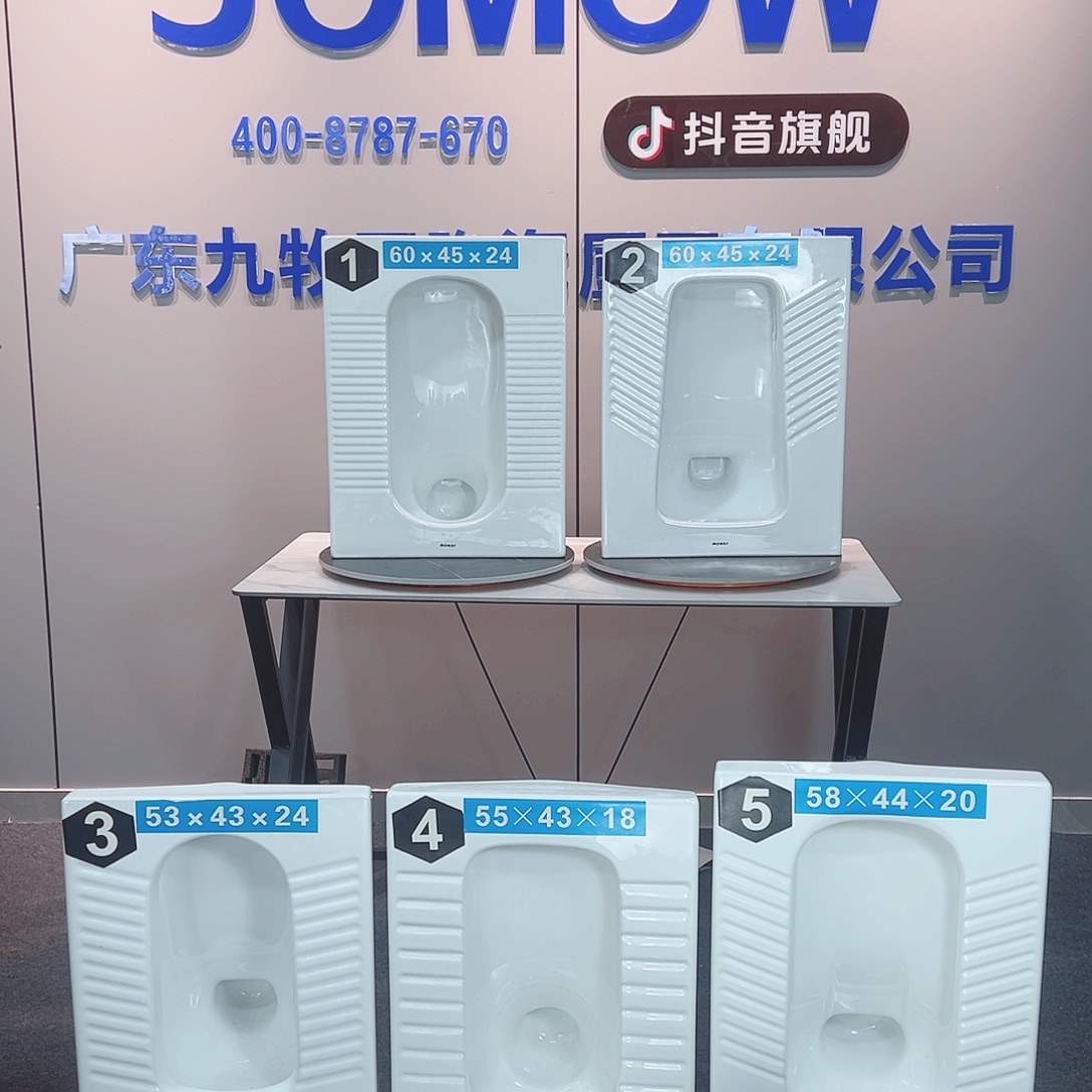 路***易五套蹲便器 升级水箱