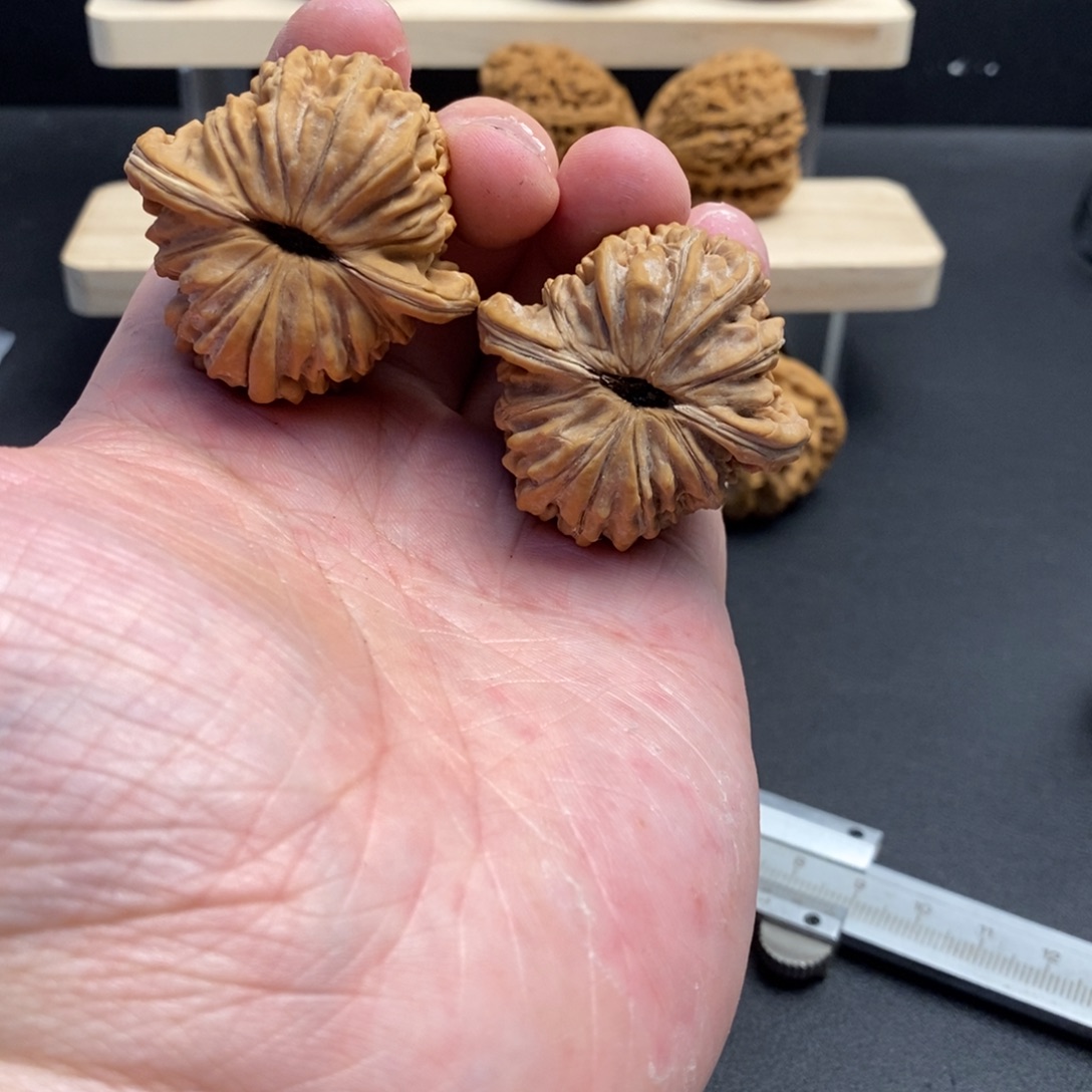 文玩核桃吊坠41楼子