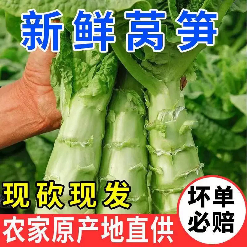 【苏北琴姐农场】农家露天现挖现发新鲜紫叶香莴苣