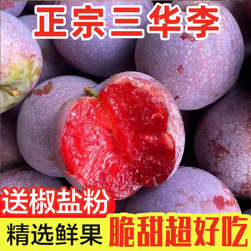 新鲜现摘正宗广东钱排红心三华李果园直发孕妇水果