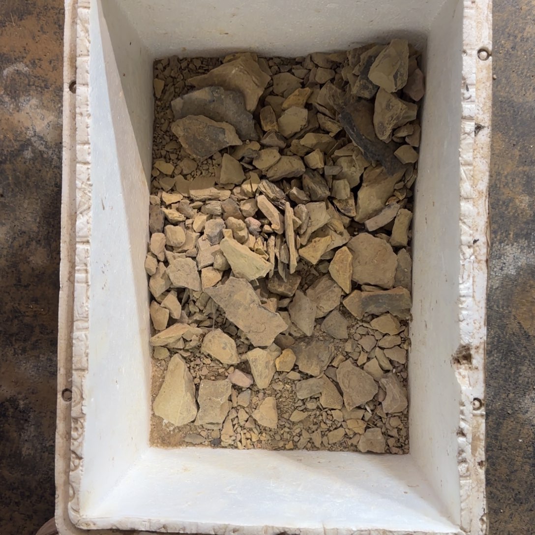 5斤风化石多肉0000000