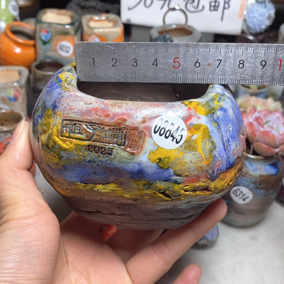 花盆拍3送一个小礼物