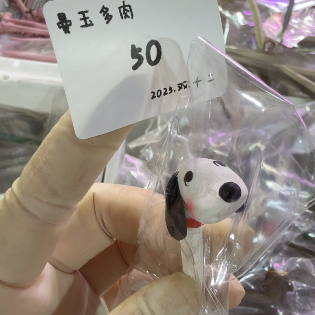 b***吖多肉多肉多肉12-050