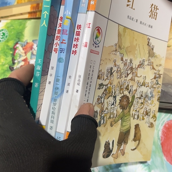 彩乌鸦5本。      
