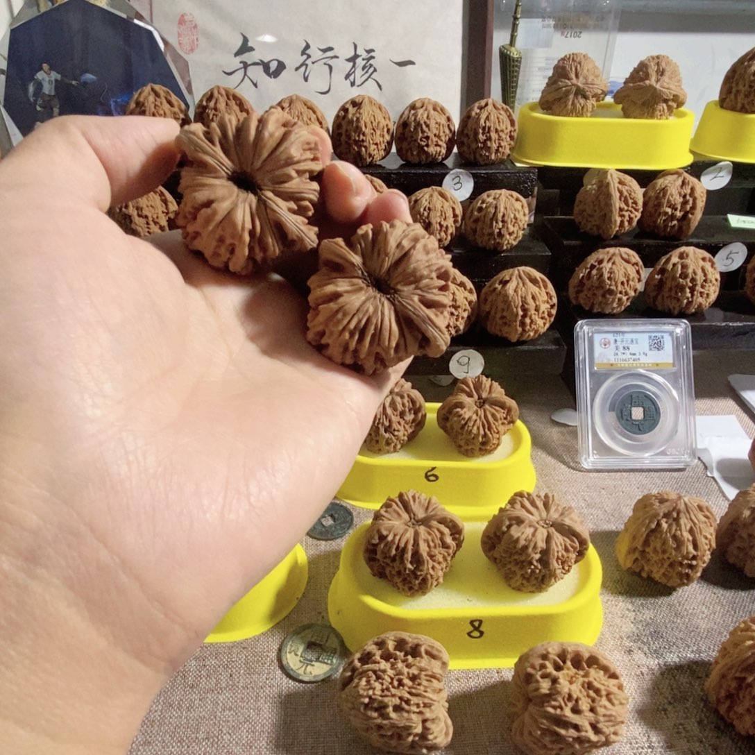 灯***珊木质类四座楼拱桥