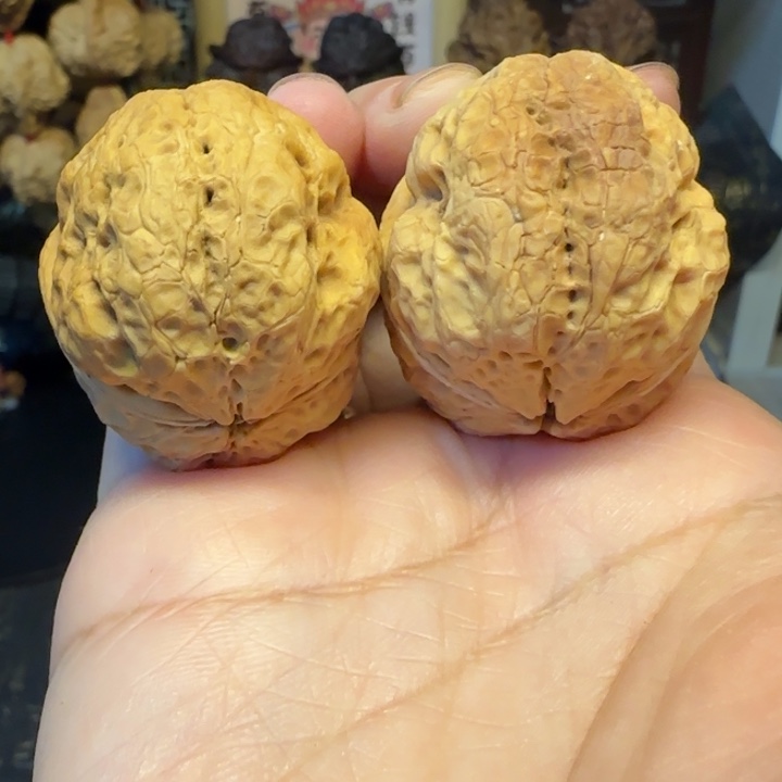 文玩核桃吊坠霸王蟾