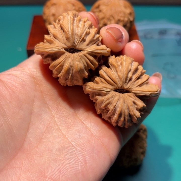 核桃42尺寸四座楼