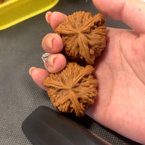 啊***u桃核把件文玩核桃