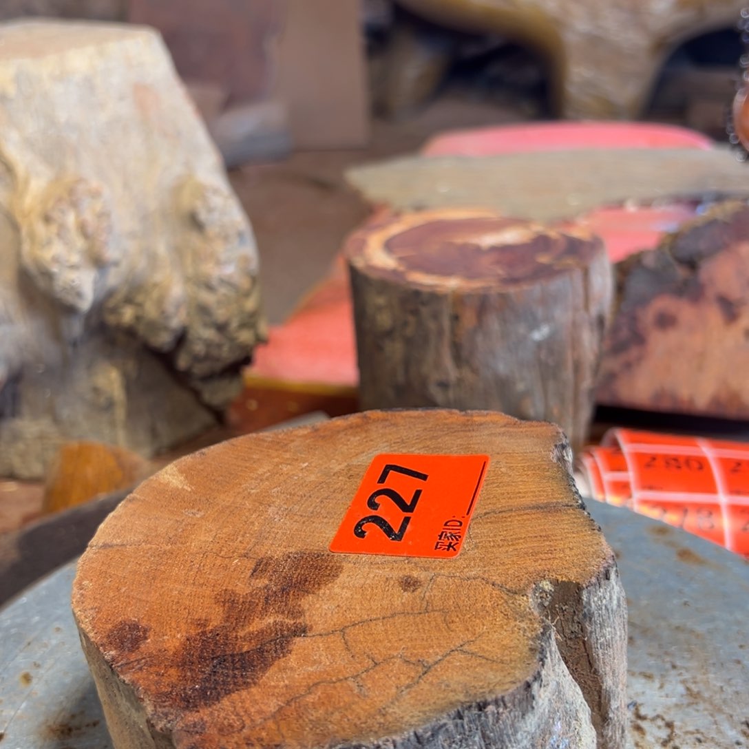 大果紫檀（缅甸花梨）