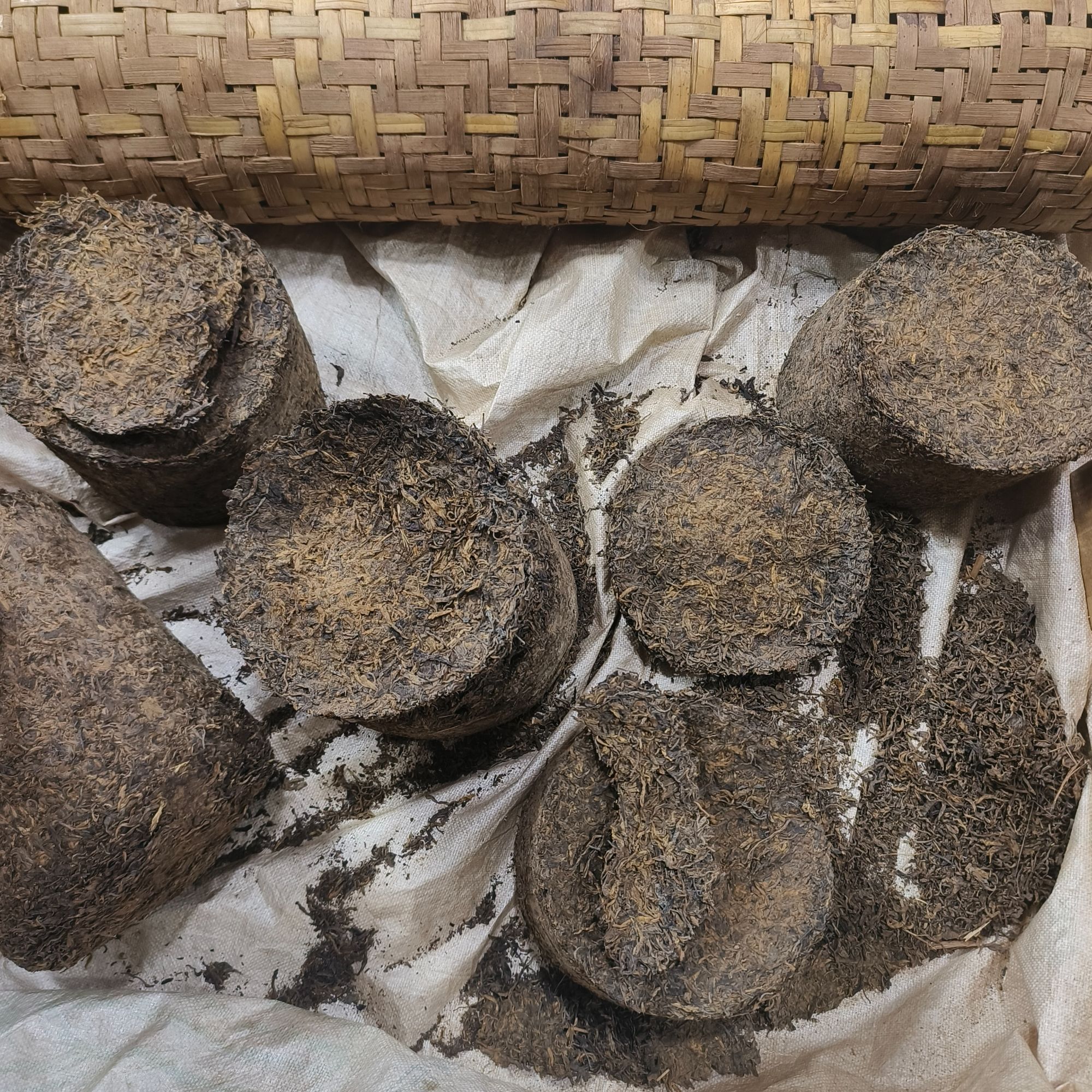 【建梅茶厂】1983年建厂纪念生茶柱50g