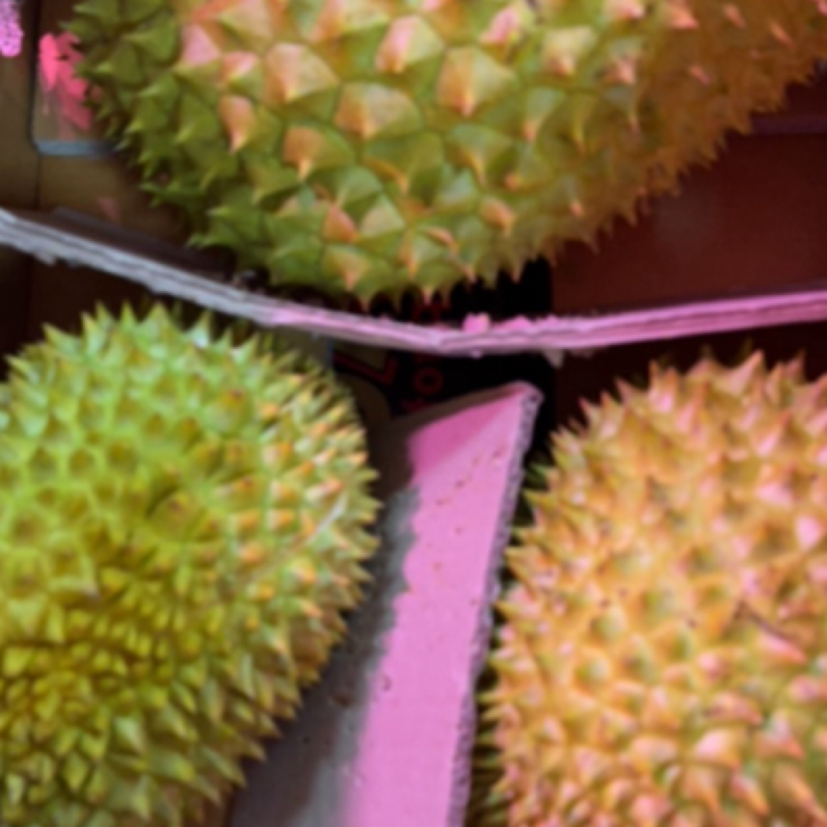 干尧榴莲三粒装 净果14斤左右
