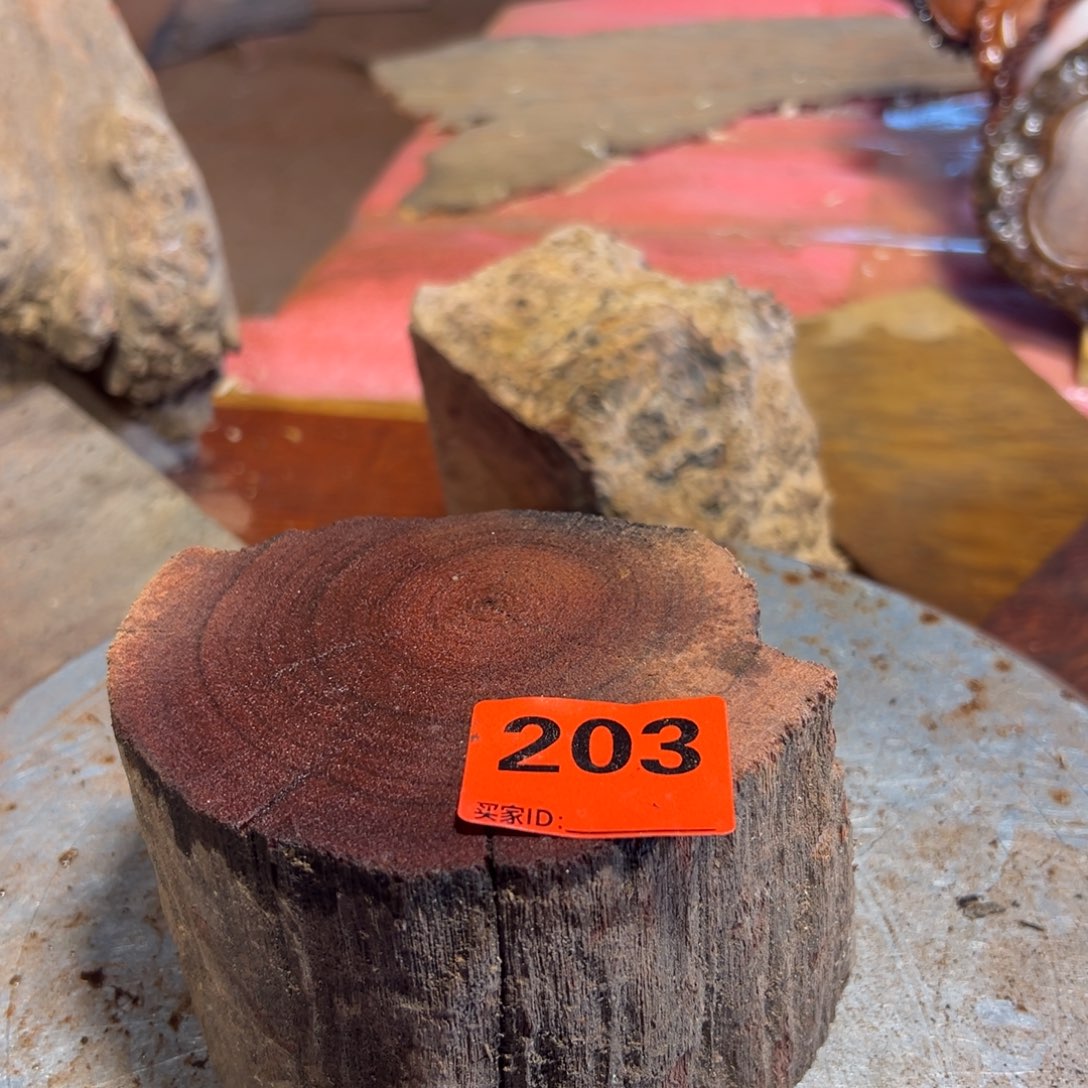 大果紫檀（缅甸花梨）