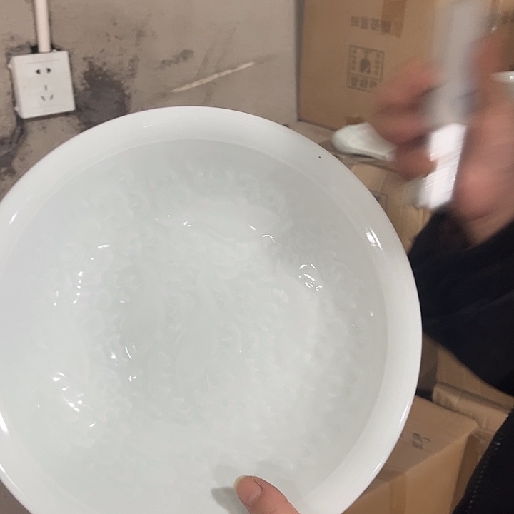 瓷片十英寸鱼利深盘两个微瑕包邮