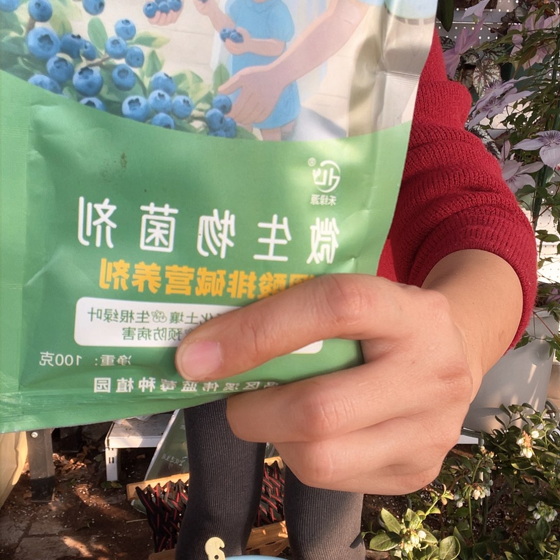 调酸菌剂给两颗修剪苗