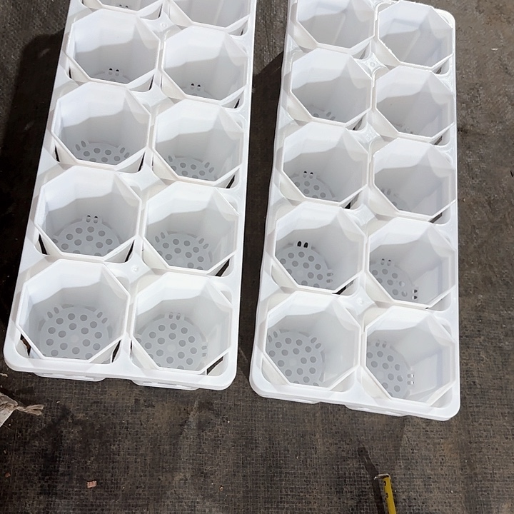 7公分八角盆20个含托架