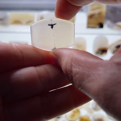 【闪购商品】玛瑙/玉髓珠宝半成品未镶嵌