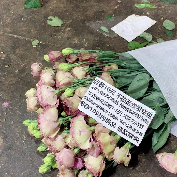 茶色桔梗700克20%耗损不售后