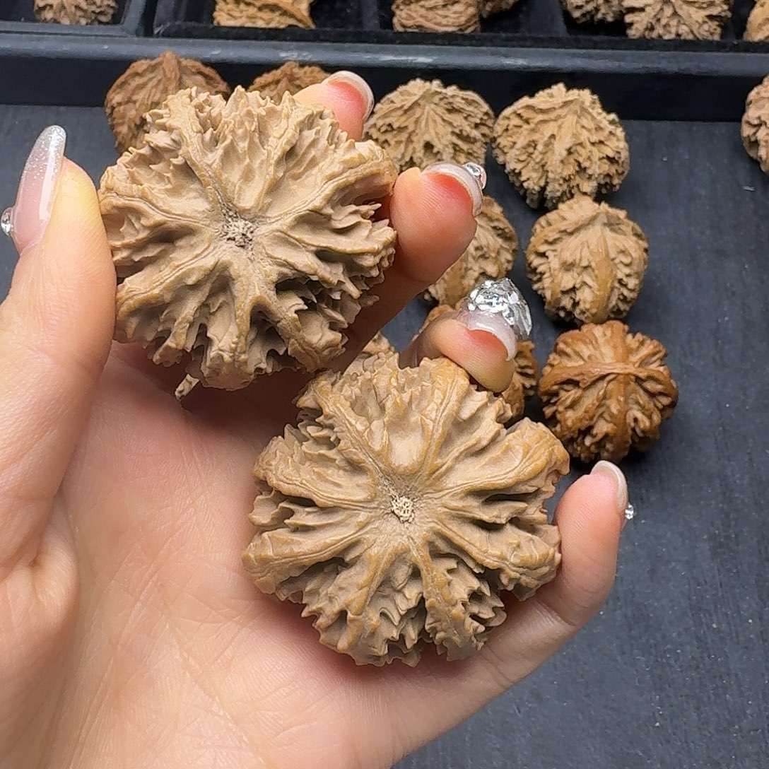 过***坏桃木突突突突突突突突