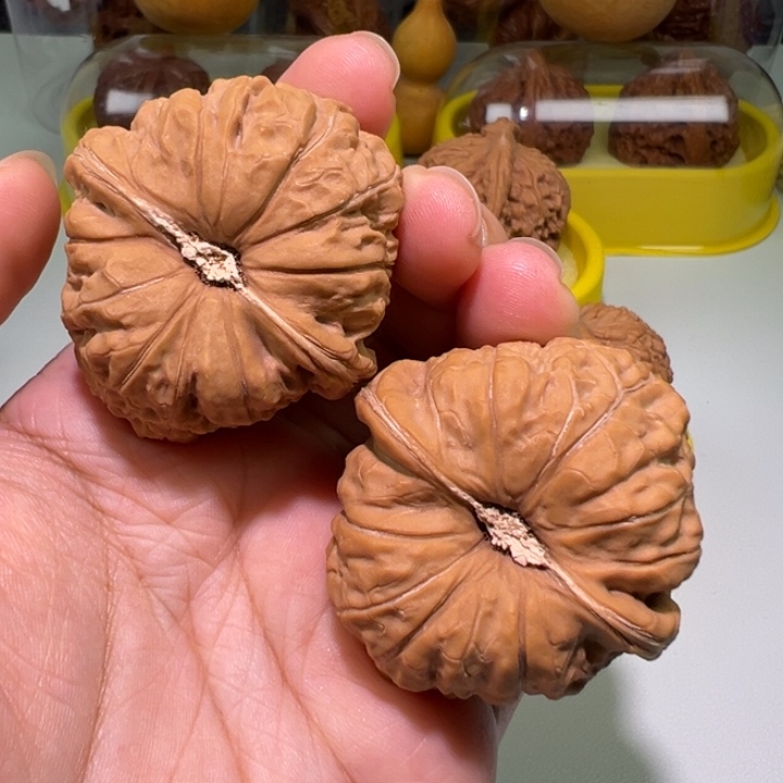 待***食文玩核桃把件45南瓜墩