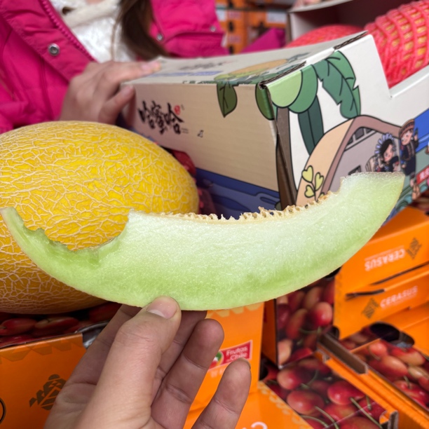 正宗海南金色年华黄金密甜瓜黄皮哈密瓜甜香甜瓜网纹黄皮哈密瓜
