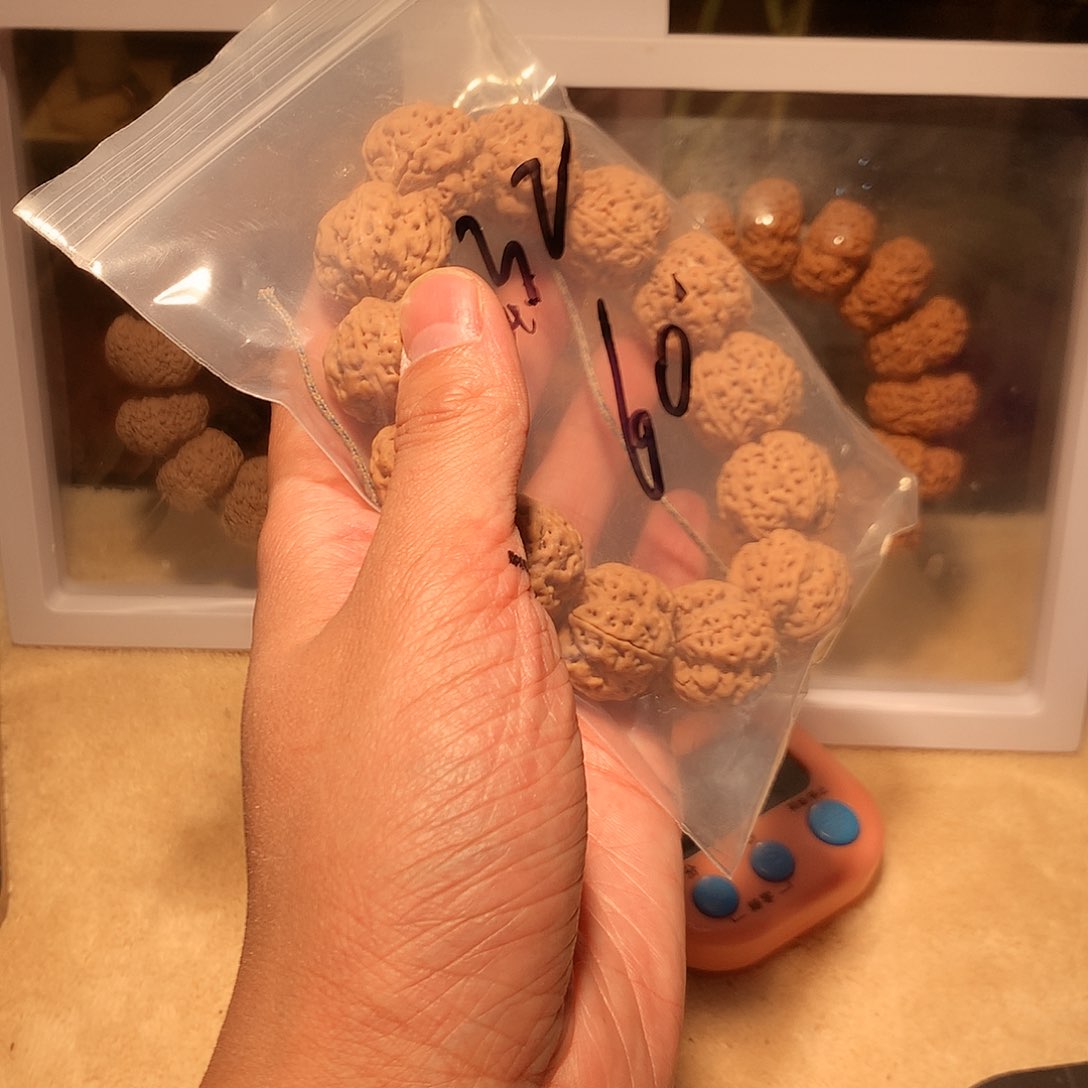 金刚菩提手串木*生32。     