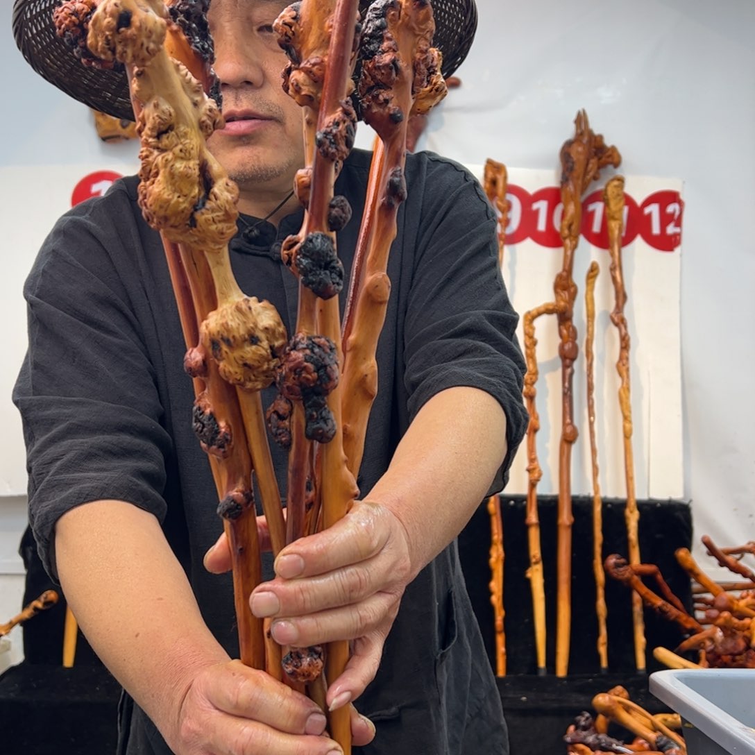 其他黑果木黑果木847