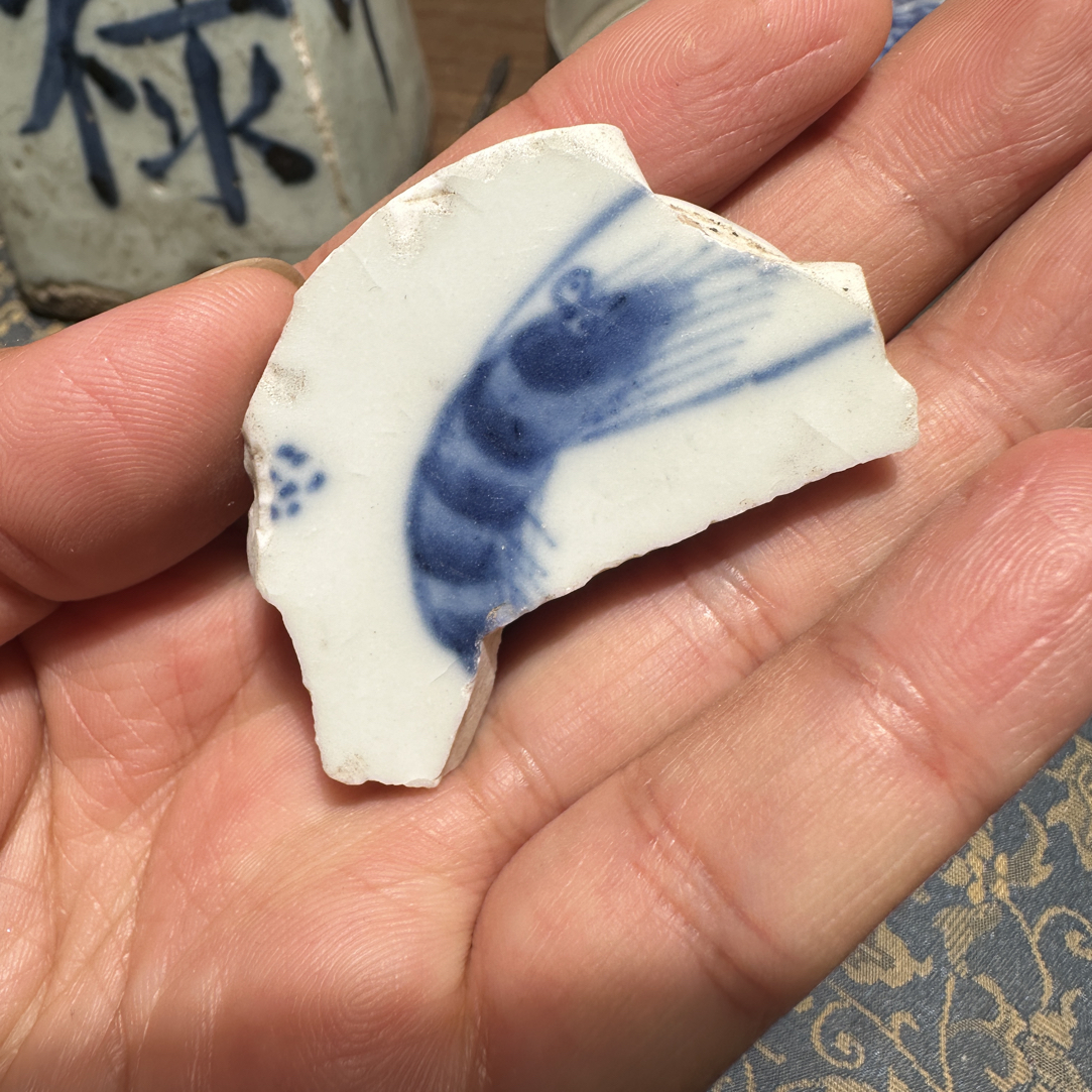 M青花虾子瓷片标本学习收藏顺丰包邮全手工制作