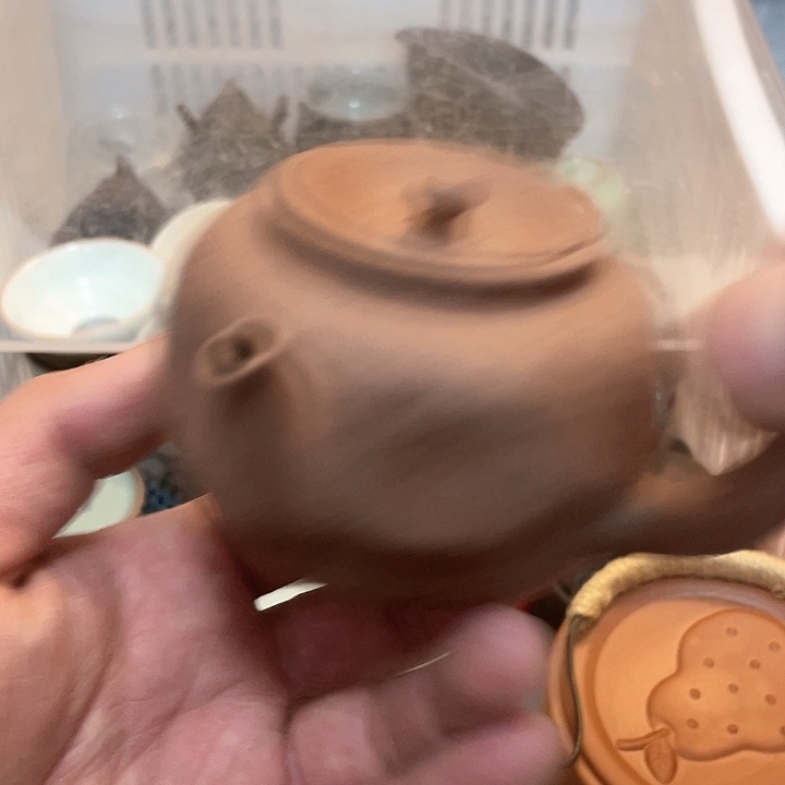 永**强清清清清清清清清清清清清清