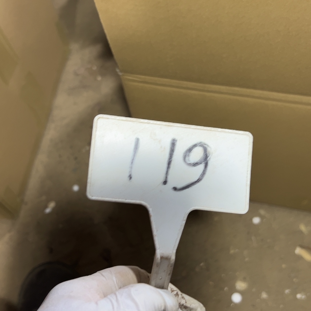 多119肉植物组合法师