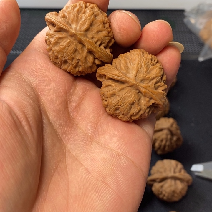蜘***朱文玩核桃把件57764346788