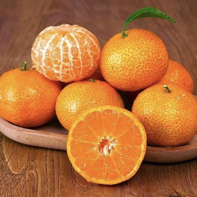 精品砂糖橘2斤左右广东省