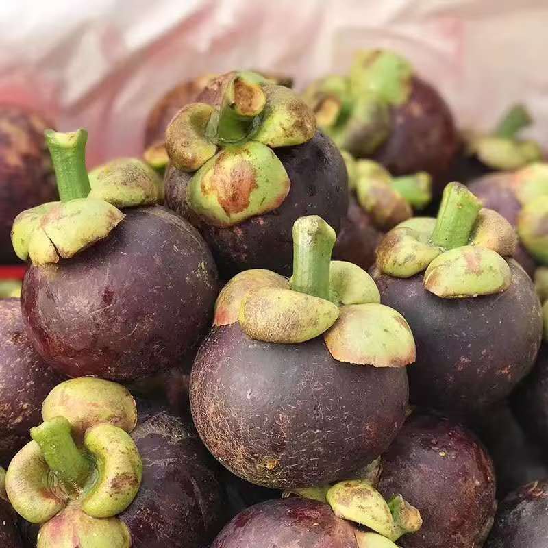 【顺丰包邮】新鲜进口山竹应季时令水果肉厚多汁3A/6A新疆维吾尔自治区