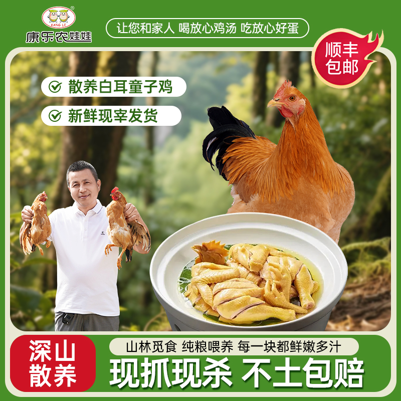 顺丰包邮正宗高山散养农家白耳童子鸡走地鸡高山散养现杀现发