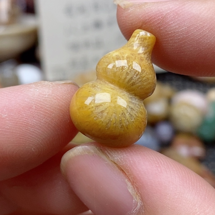 硅化珊瑚（珊瑚玉）未镶嵌颈饰小