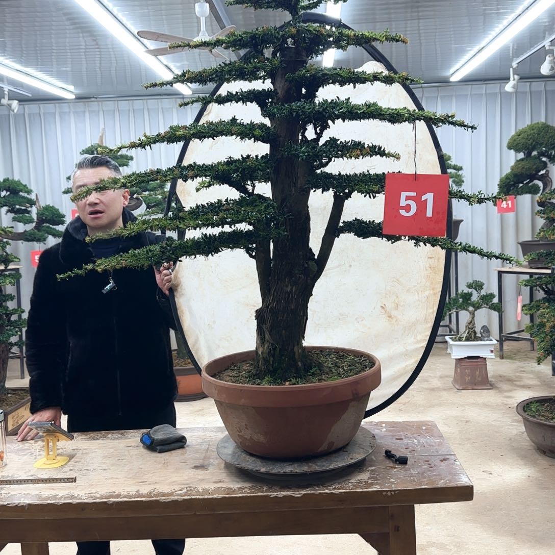 无花朵000000000000000