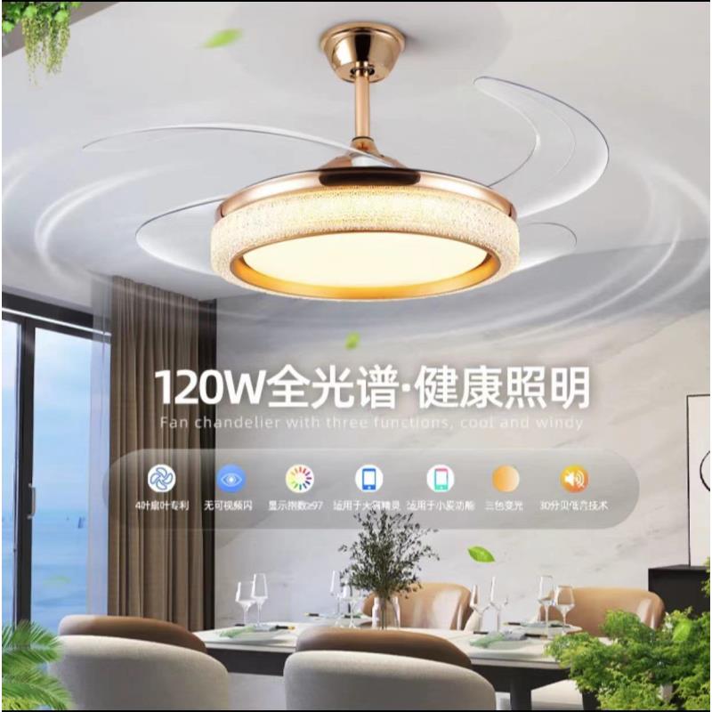 2024新款隐形风扇灯客厅卧室餐厅家用新款静音吸顶带电一体吊扇灯