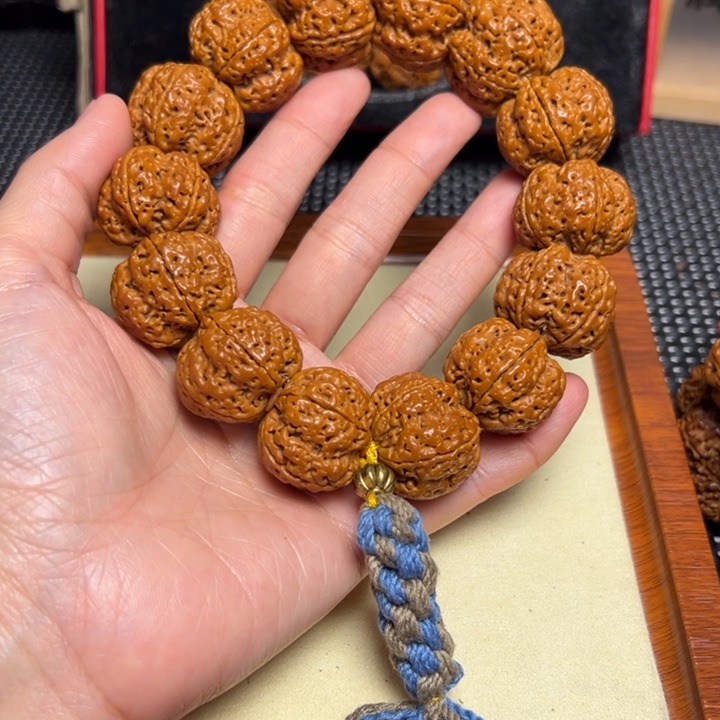 手串金刚菩提飞碟梅花