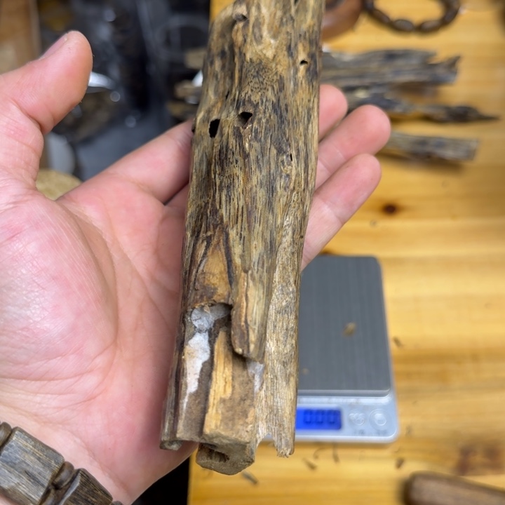 沉香手把件块料白棋品种74克虫漏