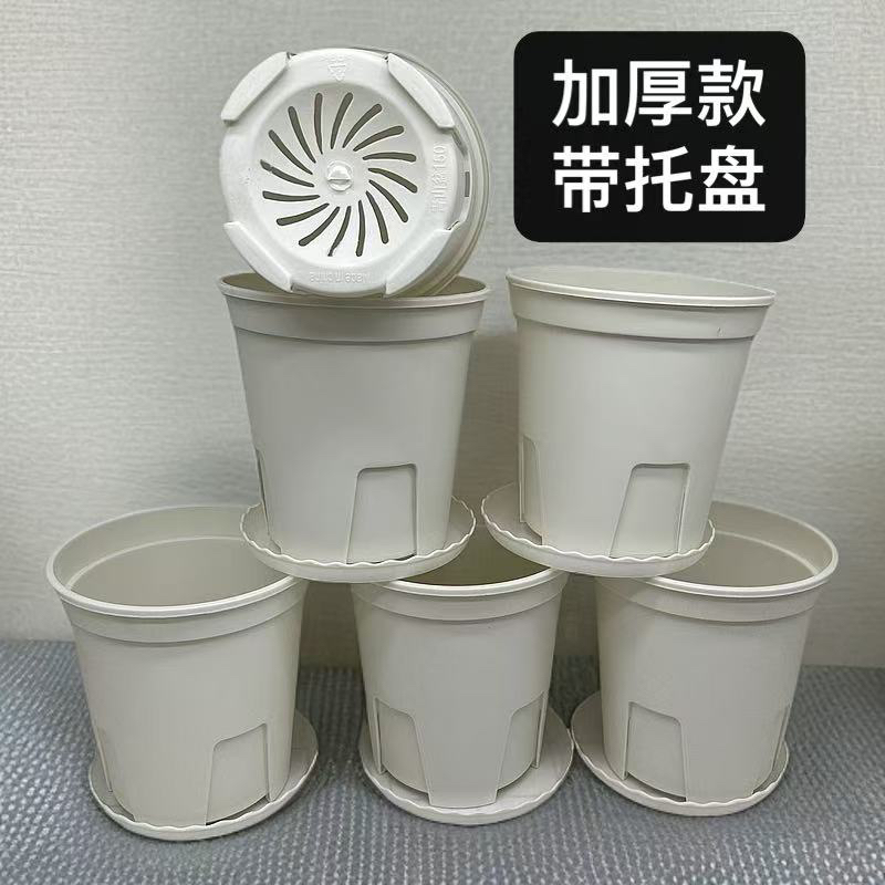 【6个带托盘】加厚白色三代150青山花盆【口径14.5高15左右】