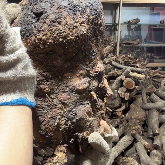 香榧木南*火琉璃的故事毛料摆件