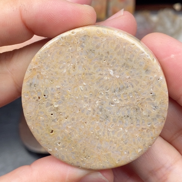 硅化玉手镯未镶嵌