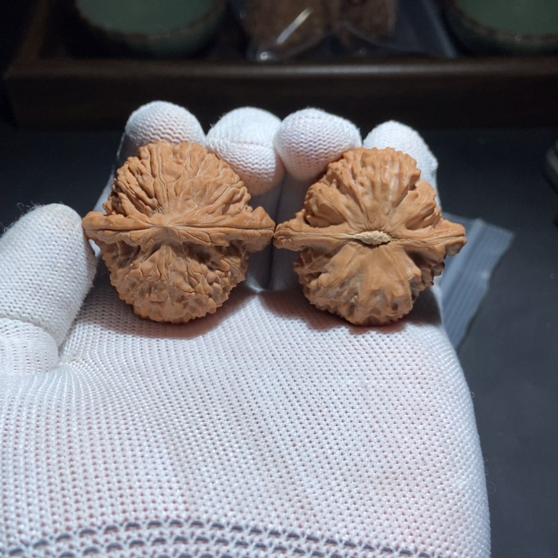 星***球吊坠文玩核桃白狮子