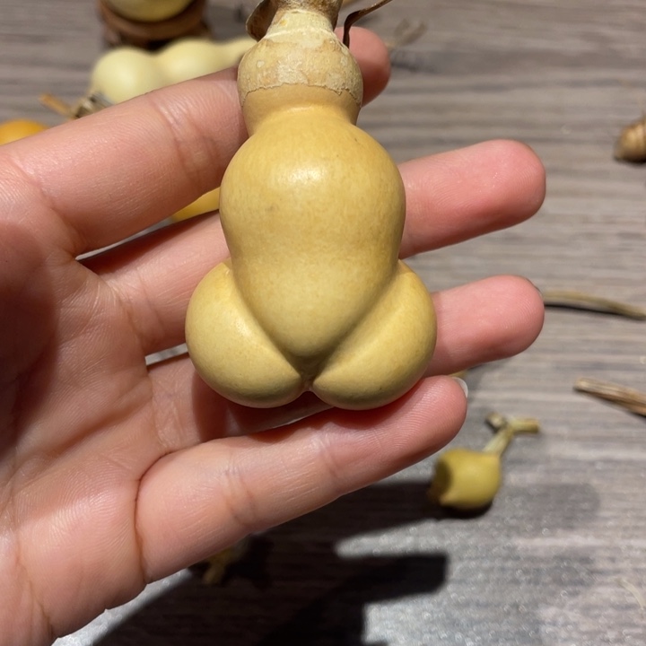 我***了葫芦葫芦葫芦葫芦