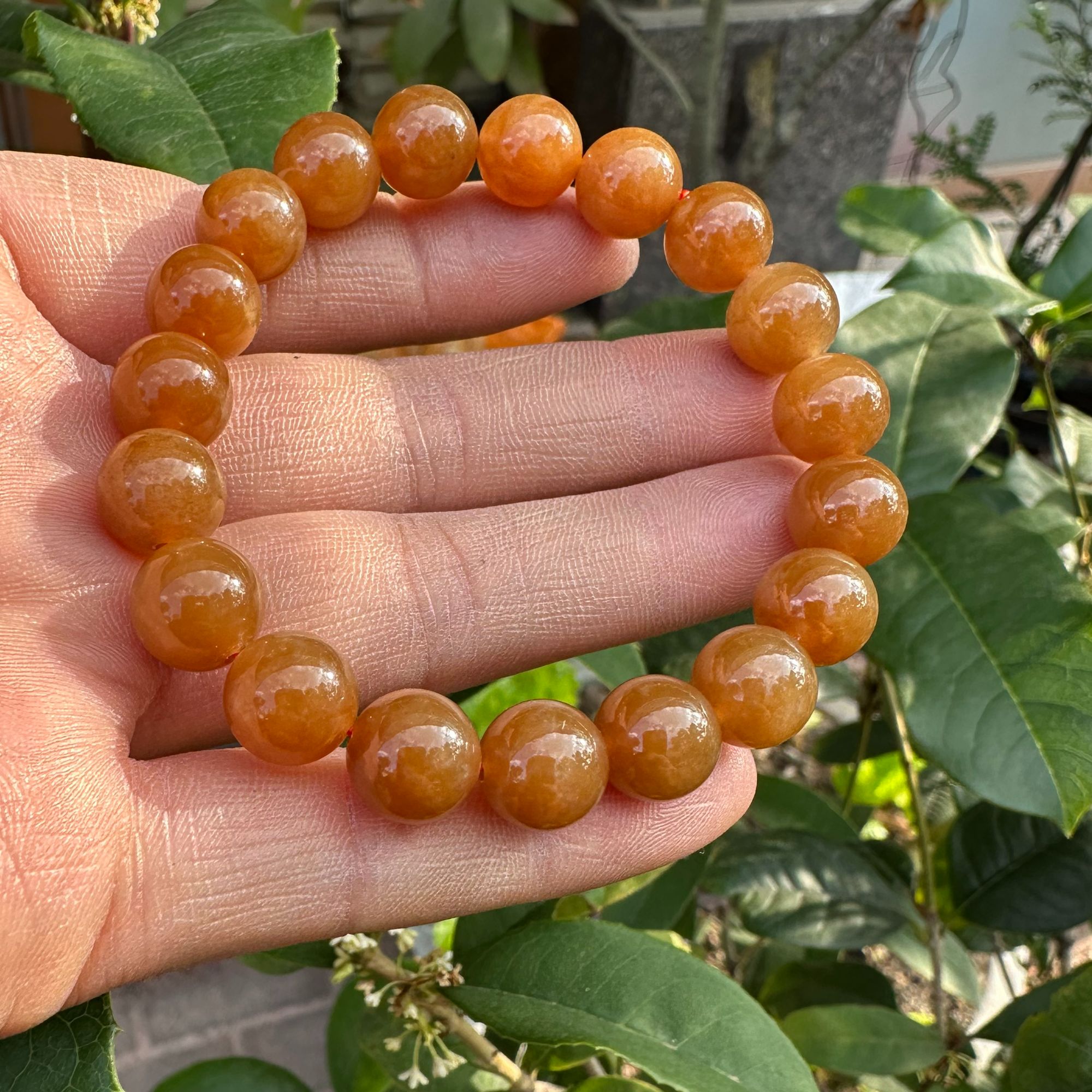 和田玉糖玉手串卡10油润细
