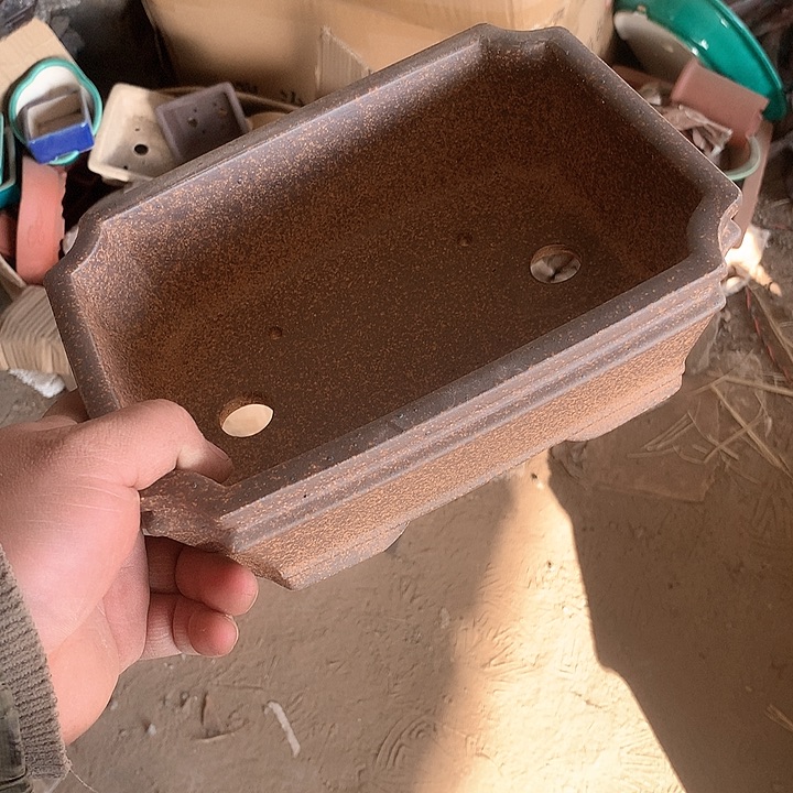 紫砂我要不去我这里看看